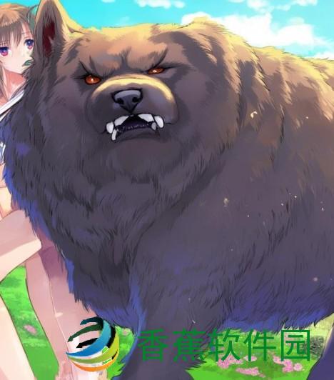 狗狗又大又硬