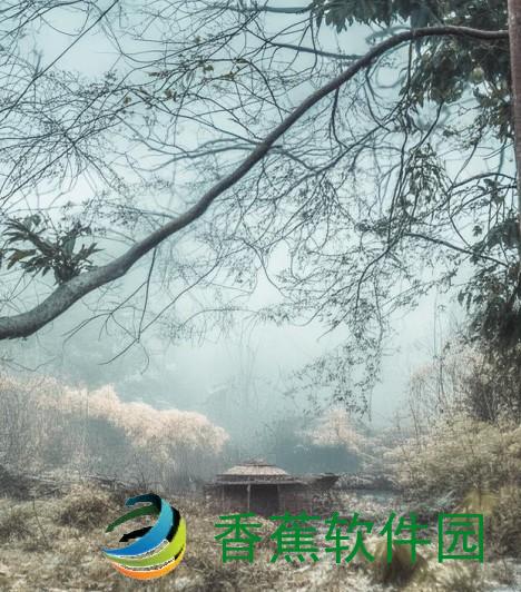人文艺术的意思—人文艺术的魅力与价值探寻：传承与创新的交融之路