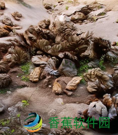 王者荣耀无法更新安装包的原因与解决方法解析